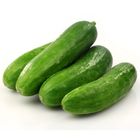 Cucumber Kheera Farmi 1kg