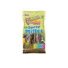 108763 Brown's Tropical Carnival Natural Spray Millet 0.14g
