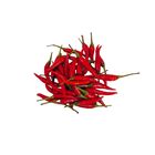 Chili Padi 100g