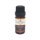 Flaming Queen FQ Oil Peppermint | 10 毫升