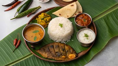 Shad Mohol Restora