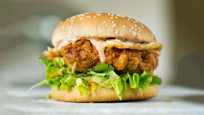 Mr. Bite Burger