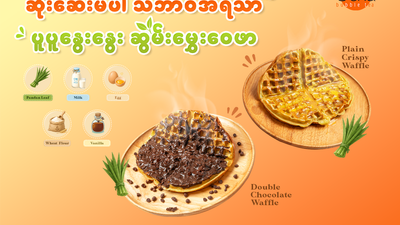 Ocha (တောင်ကြီး)
