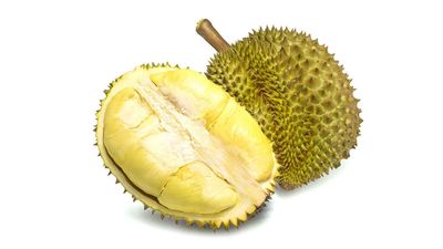 DURI FRUITS
