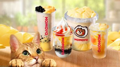 MOMOYO - Victory Mall Guagua