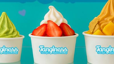 Tanginess Frozen Yogurt - Malolos