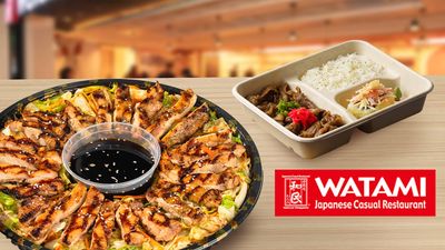Watami - NAIA T3