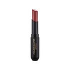 Flormar Color Master Lipstick (006 Berries On Lips) 1 Piece