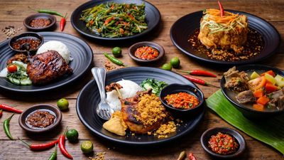Bebek Goreng Pak Ndut (Lucky Plaza) - Islandwide