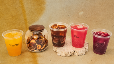 FERM - Fermentation & Probiotic Beverages (Cecil)