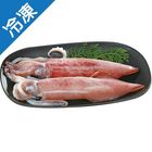 台灣 透抽(包) 550g #4711481395146#03/036
