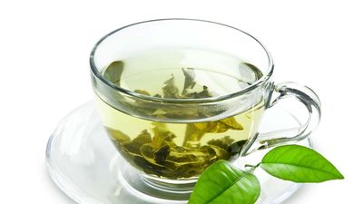 玖盞茶坊養生健康茶飲