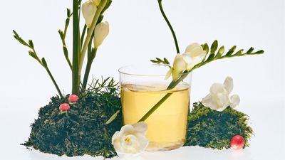 青山-青茶專業製作 (台中學士店)