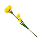 Yellow Lily Stick 1 Piece