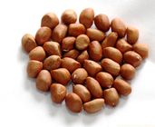 China Badam 100g