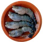 Golda Chingri Premium Size Ready To Cook 1kg