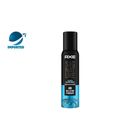 Axe Signature Champion Body Deodorant 122ml