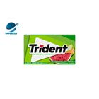 Trident Refreshingly Long Lasting Watermelon Twist Bubblegum Sticks 14 Pieces