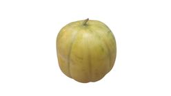 Musk Melon Round (Bangi) 1.5kg ±100g