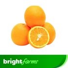 brightfarms Malta 2kg ± 100g