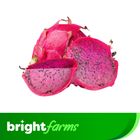 brightfarms Dragon Fruit Local 1kg ± 50g