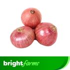 brightfarms Local Onion Old Premium (Deshi Piyaj) 1kg ± 50g