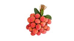 China-3 Lychee 25 Pieces