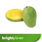 BrightFarms Mango (Himsagar Aam) Premium 2kg (±100g)