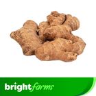 brightfarms Local Ginger (Ada) 250g ±10g