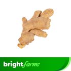 brightfarms Imported Ginger 250g ±10g