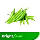 brightfarms Green Chili (Kachamorich) 150g ±10g