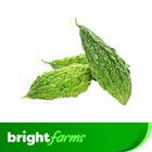 brightfarms Bitter Gourd (Korola) 600g (±5%)