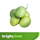 BrightFarms Mango (Himsagar Aam) 2kg (±100g)