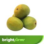 brightfarms Mango (Harivanga Aam) 1kg (±50g)