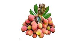 Lychee (Bombay) 50pcs
