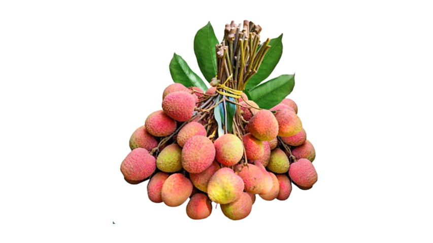 Lychee (Bombay) 50pcs