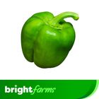 brightfarms Green Capsicum/Bell Pepper 300g (±5%)