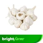 brightfarms Local Garlic (Roshun) 500g ± 5%