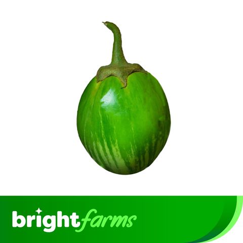 brightfarms White Brinjal/Eggplant (Begun) 500g (±20g)