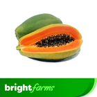 brightfarms Papaya Thai (Pepe) 700g (±20g)