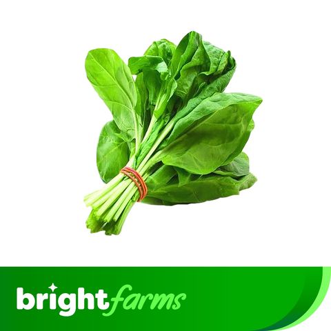 brightfarms Regular Spinach (Palongshak) 1 Bundle 250g +-20g