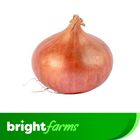 brightfarms Local Onion (Deshi Peyaj) 3kg ± 80g