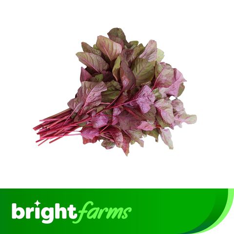 brightfarms Red Spinach (Lalshak) 1 Bundle 250g (±20g)
