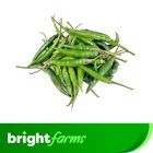 brightfarms Green Chili (Kachamorich) 250g (±5%)