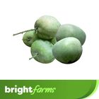 brightfarms Mango (Bari Aam) 2kg (±100g)