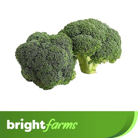 brightfarms Local Broccoli 1 Piece (±5%)