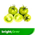 brightfarms Tomato Green (Kacha Tomato) 500g ± 5%