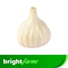 brightfarms Multicell Garlic (Roshun) 500g (±5%)