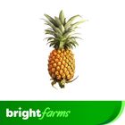 brightfarms Pineapple (Calendar Anarosh) 1 Piece 1300g