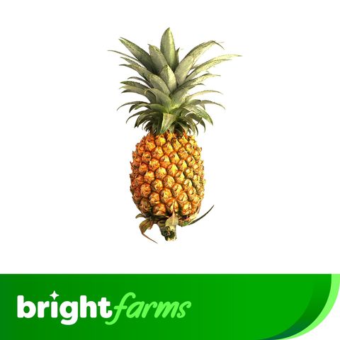 brightfarms Pineapple (Calendar Anarosh) 1 Piece 1300g